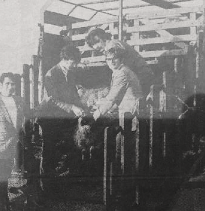 storia_cerservice_foto_storica_2